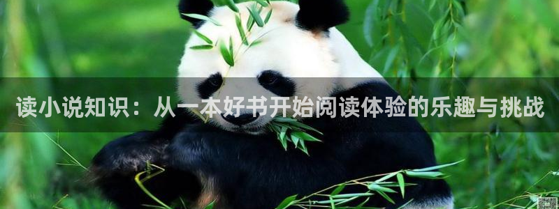 纵横中文网 投稿