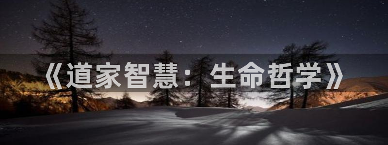纵横中文小说网官网