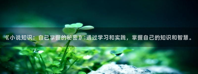 纵横中文网官网首页