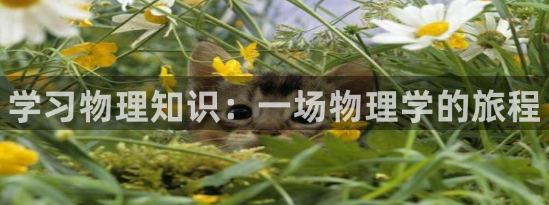 纵横中文网网页版：学习物理知识：一场物理学的旅程